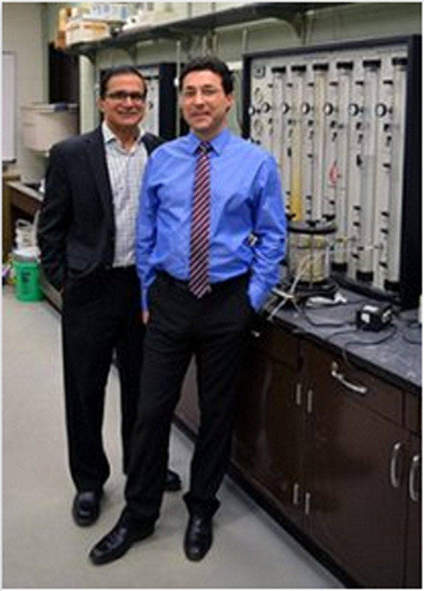Professor Krishna Reddy and Dr. Claudio Cameselle