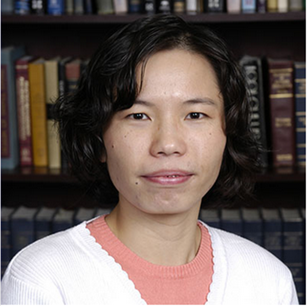 Professor Jie Lin