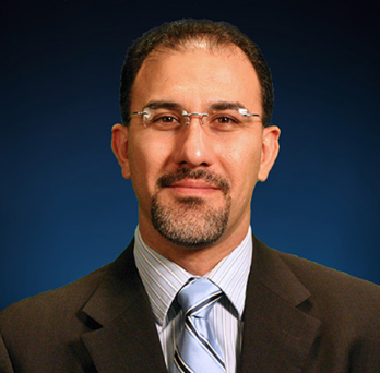 Professor Mohammadian 