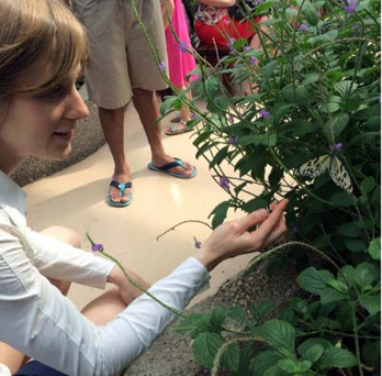 Student observing butterfly and flowers 
