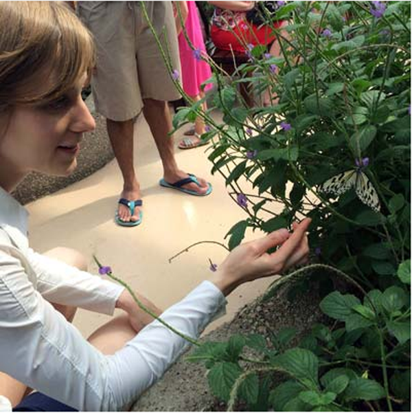 Student observing butterfly and flowers