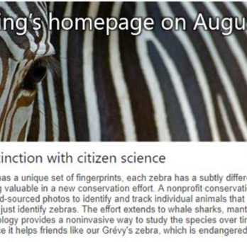 Professor Tanya Berger's project on Bing 