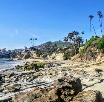 Beach at Los Angeles
                  