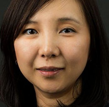 Professor Ying Liu
                  