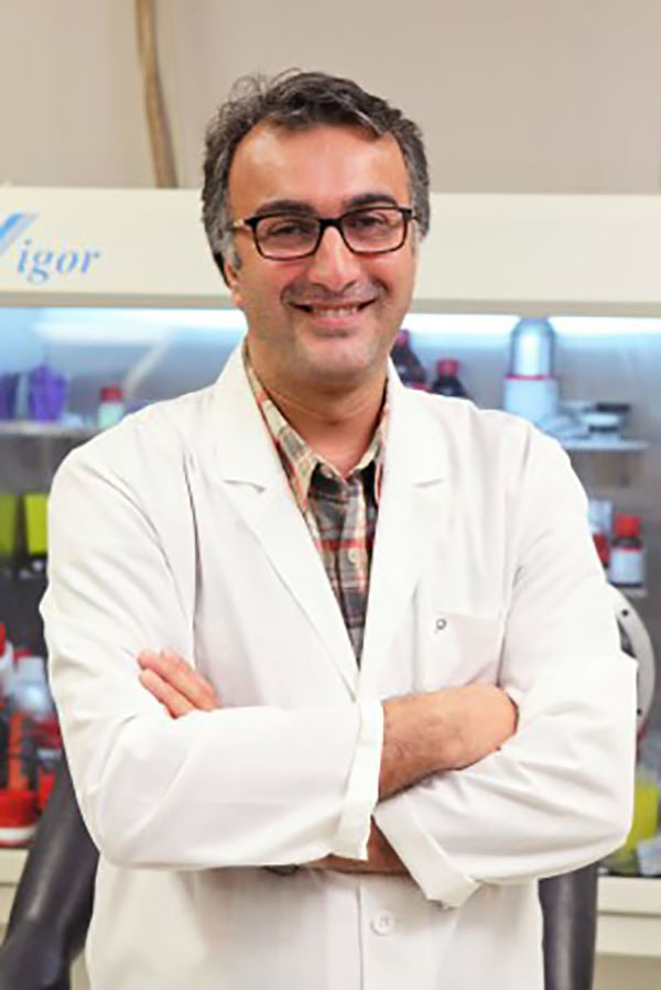 Amin Salehi-Khojin, associate professor of mechanical and industrial engineering at UIC’s College of Engineering