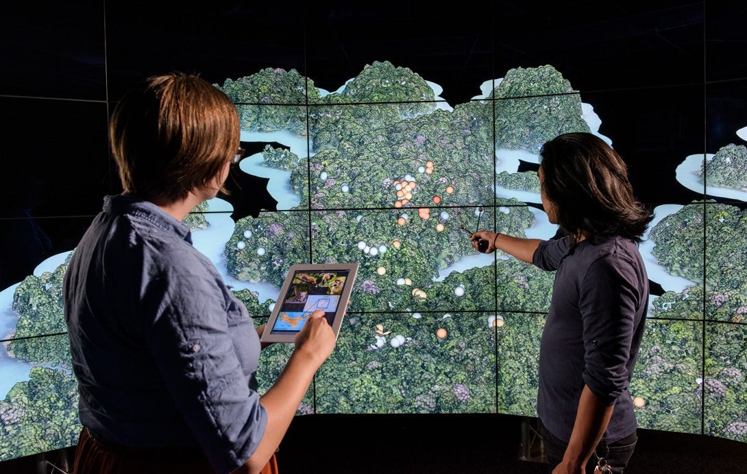 Researchers using visualization in CAVE2