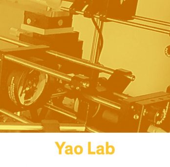 Yao Lab 