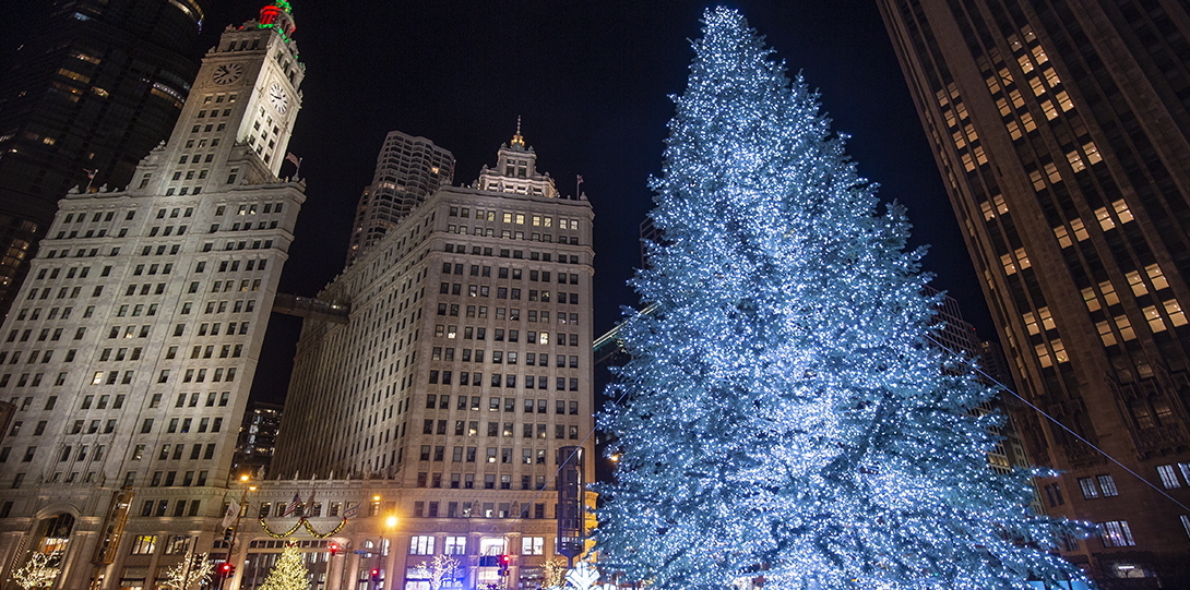 Christmas tree outside Tribune Tower on Michigan Ave.