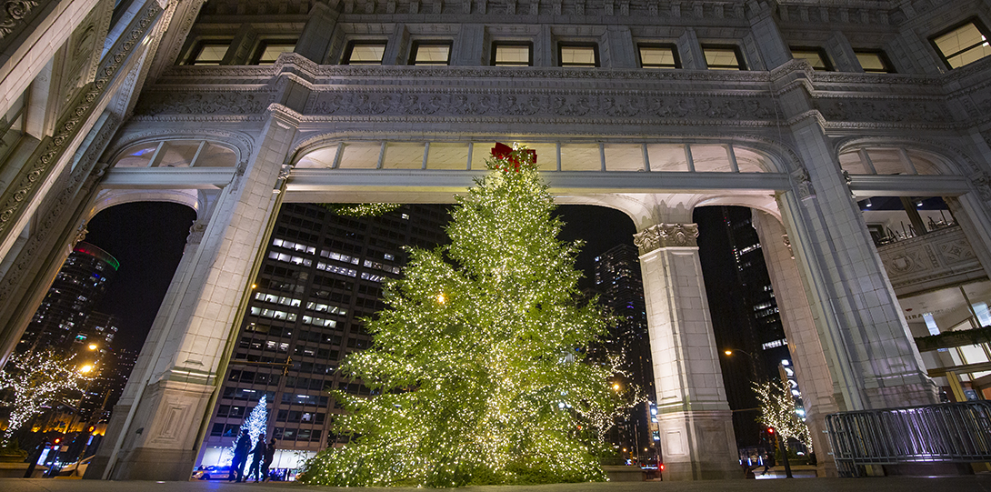 Christmas Tree on Michigan Ave