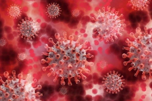 Coronavirus rendering