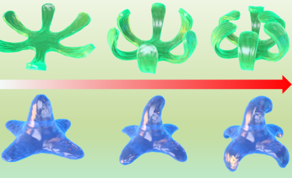 3D printed gels