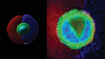 Representative images showing the compartmentalized aqueous (aq) phases with varied flow rates as they contact the oil (o) phase. Each side aqueous phase consists of alginate-rhodamine (red) or alginate-CFTM 350 (blue). Scale bar = 25 μm.