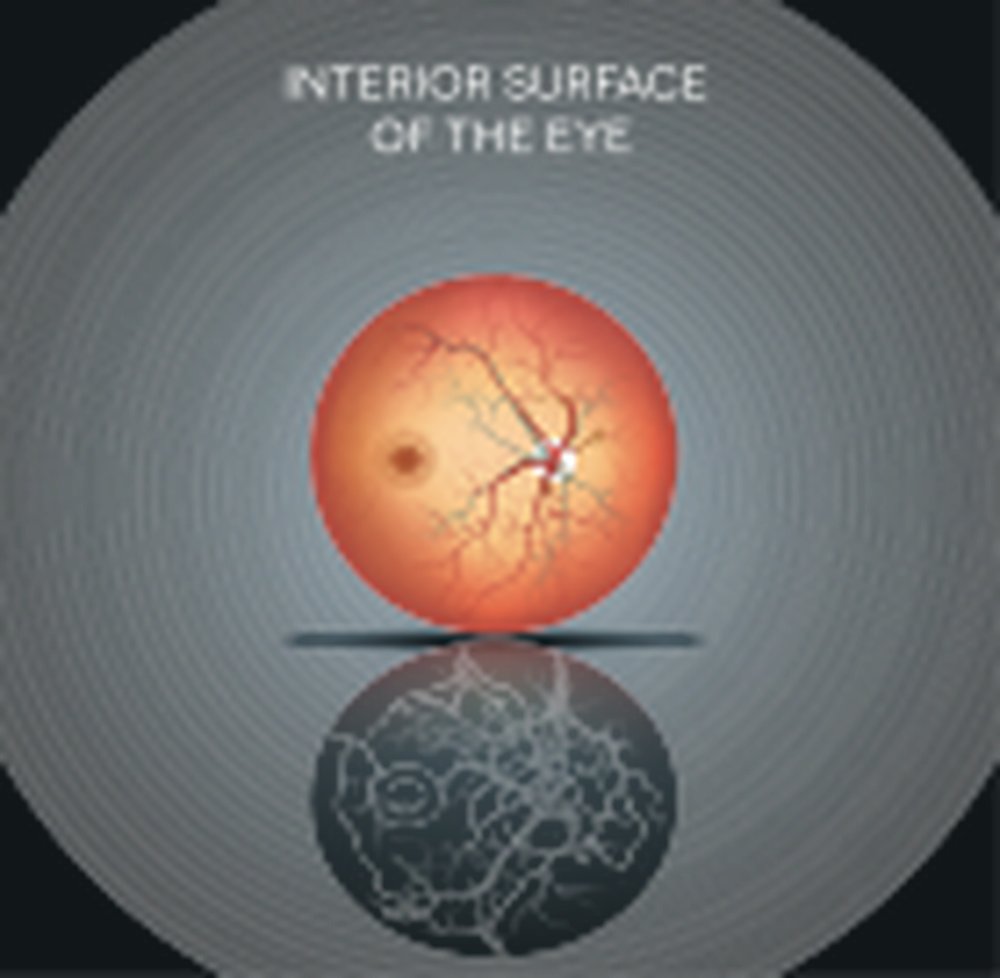 Interior Surface of an eye