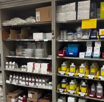 Shelves at the new storeroom location on east campus.
                  