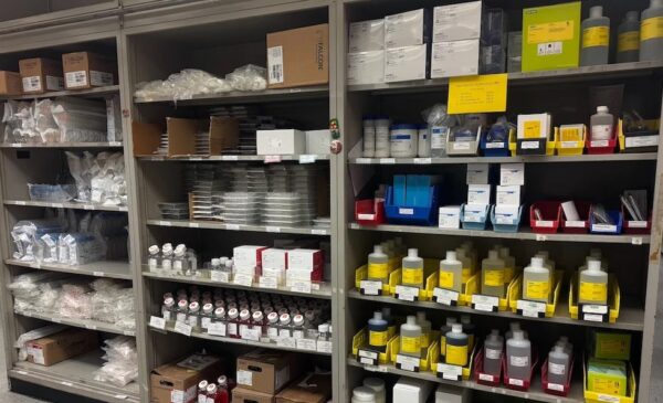 Shelves at the new storeroom location on east campus.