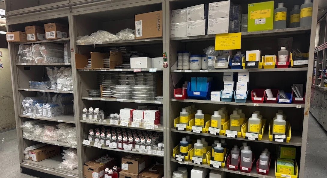 Shelves at the new storeroom location on east campus.