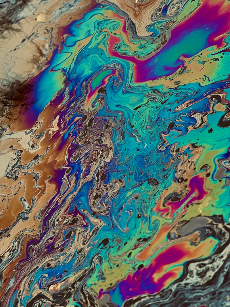 PhD student Marzieh Mansouri was awarded second place in the Image of Research competition at UIC for her photo called “Toxic Masterpiece: The Art of Pollution in the Chicago River.”